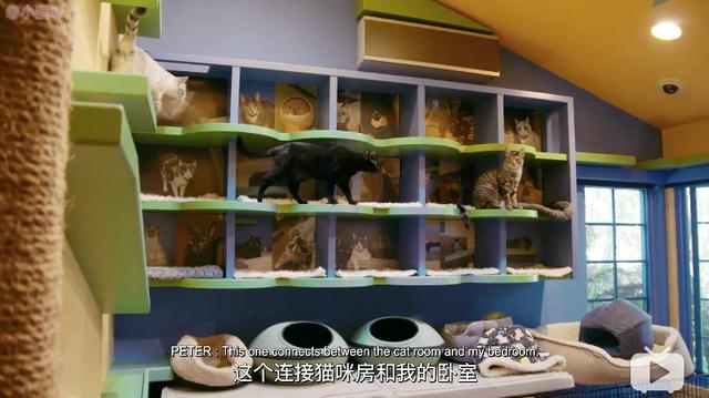 没想到家装节目有胆将凶宅变成改造对象？