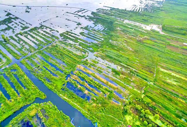 「山里」贵州回应山里有龙吟 专家说出真相让人大跌眼镜