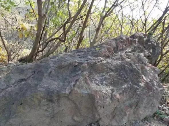 蛇妖吃了一个小孩，结果却看见一块大石头从蛇