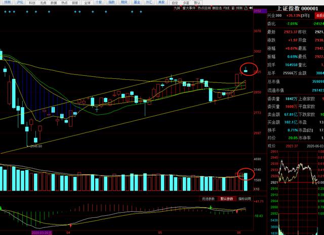 核心科技龙头表现强势，但上证指数冲高回落，
