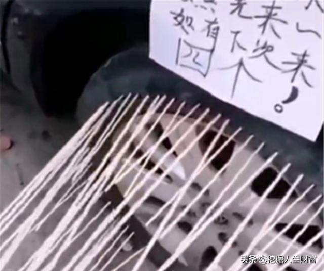 23万迈腾违停，整个车轮被人插满“牙签”