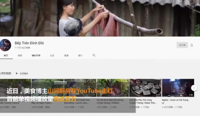 越南博主抄袭李子柒，拍摄手法如出一辙，网友痛斥“不要脸”