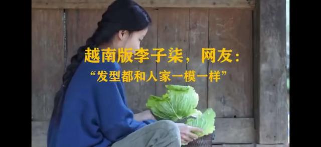 维权：律师称李子柒维权难度较大 抄袭之风太猖狂