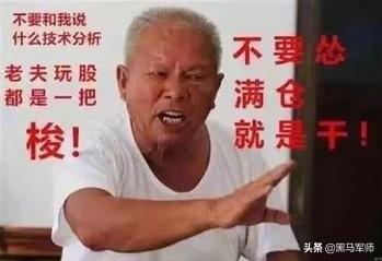 给散户韭菜们的忠告：熊市生存，知易行难！（