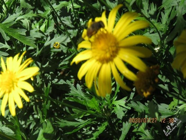 旅游旅行在丽江！人间值得