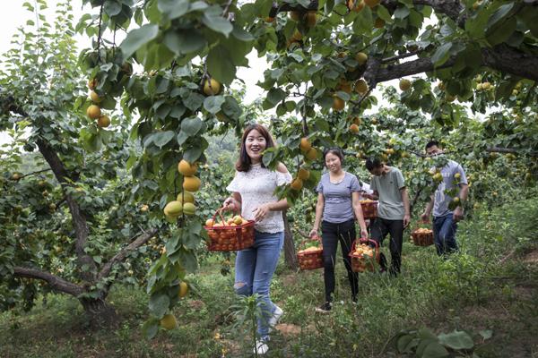 “老家河南.玩美鲁山”2019年中国鲁山摄影大赛初选作品选登（二十三 ）