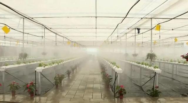 透视3个案例，告诉你如何找到科学种植的突破口，赶紧上车