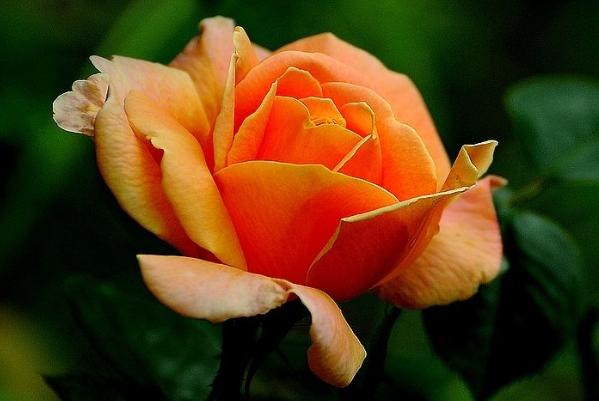 3个习惯养成了，领导喜欢你，迟早有大出息