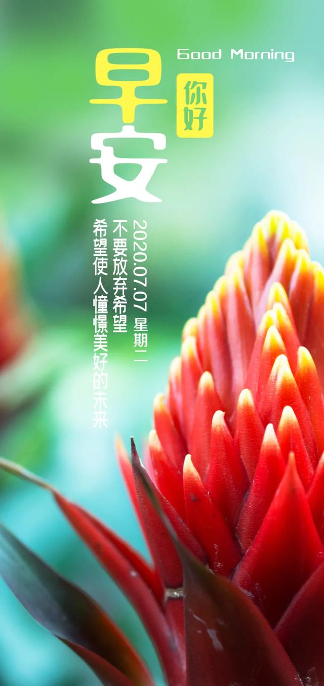 #高考#早安心语，高考加油正能量励志短语，唯美图片带字