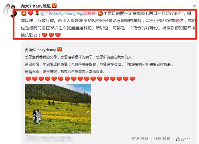 没等到郑恺苗苗官宣孕事，向佐郭碧婷却大方公布好消息，恭喜