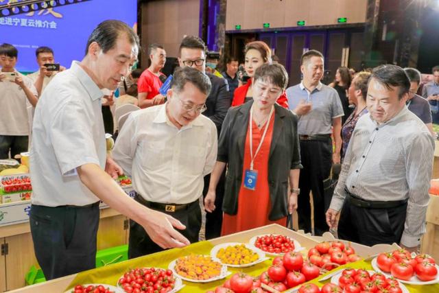 第五届全国知名蔬菜销售商走进宁夏