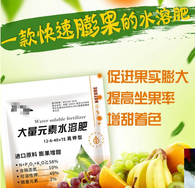 辟谣：西瓜一天炸200个，是因为使用膨大剂？瓜