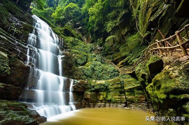 蒙頂甘露：煮沸三江一碗水，坐看云起半日閑