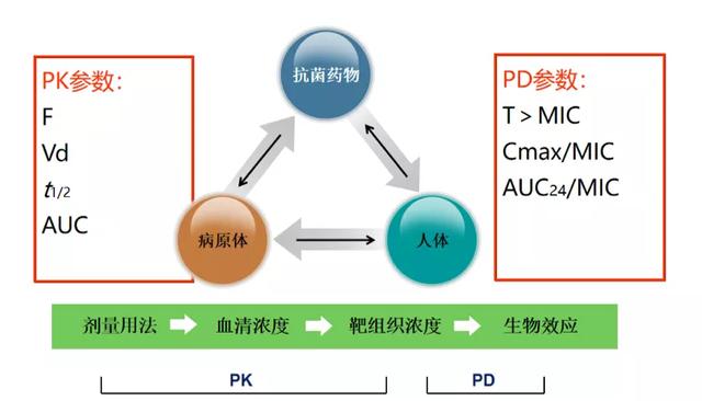 PK/PD能帮您什么忙？抗菌药物的临床应用