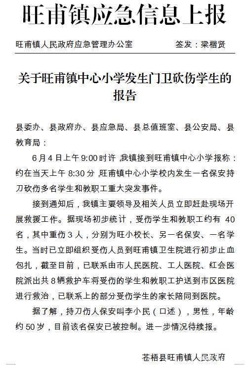涉嫌故意杀人罪 广西砍伤39名师生保安被批捕
