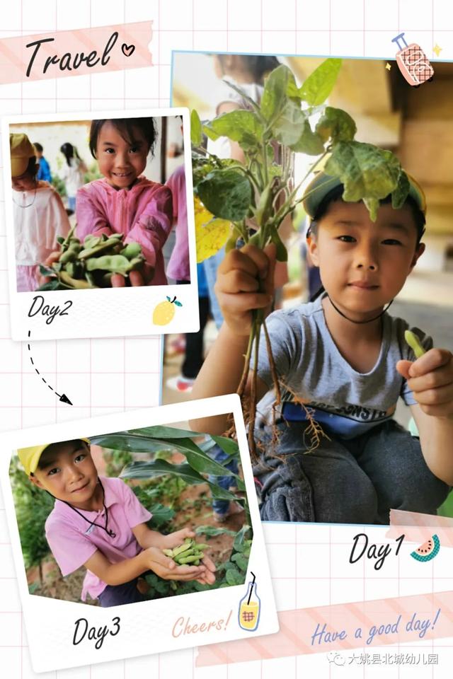 幼儿园自然教育与劳动实践：“开心菜园”里的故事