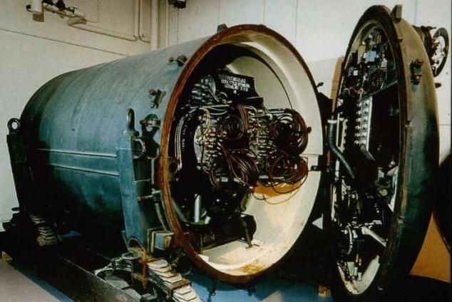 核地雷怕冷怎么办？英国科学家让鸡用体温保持