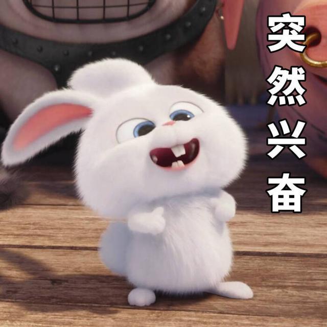 当年《加油!好男儿》的他们今成披荆斩棘的哥哥们最受期待人选