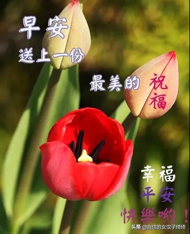 如意安康是什么意思(如意安康是成语吗)