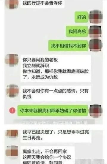 总裁夫人输了？张大奕赢了？蒋凡会怎么选择？