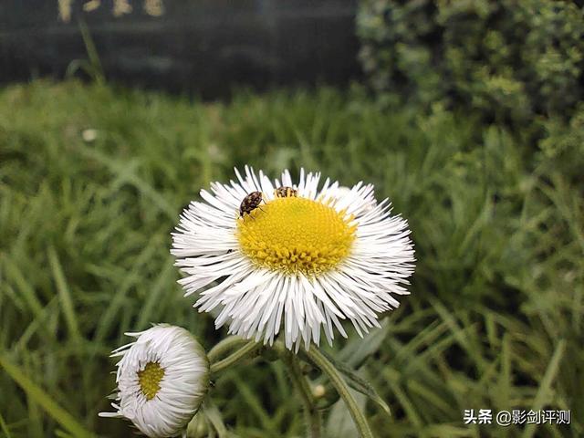 发烧友眼中的性价比水桶旗舰机：HIFI音质+长续航