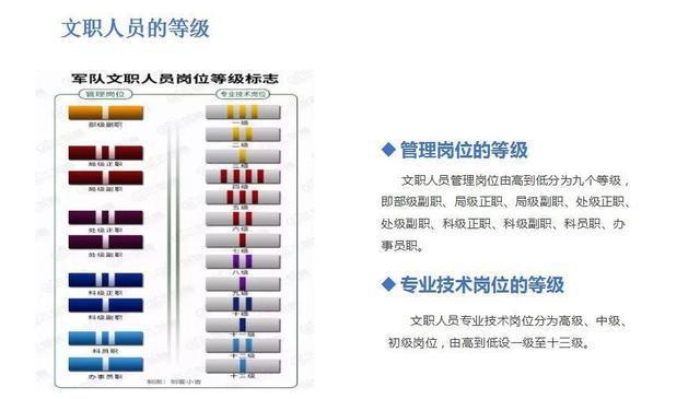 请查收！这是一份专属于你的“升职规划”