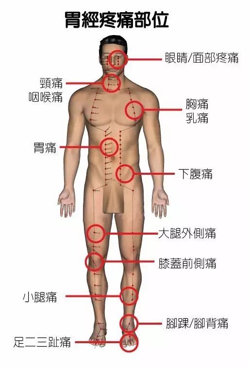 图文详解：中医12经络堵塞疼痛对照表，值得珍藏！