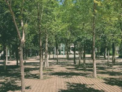 赵今麦晒高中校园照片，4姐妹躺草坪上拍照，身