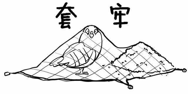 一代“股神”的陨落：像“麻雀”一样炒股,坐着