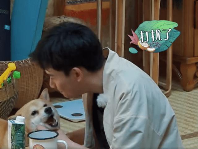 张子枫“妈妈”去蘑菇屋做客，随身带的物品，