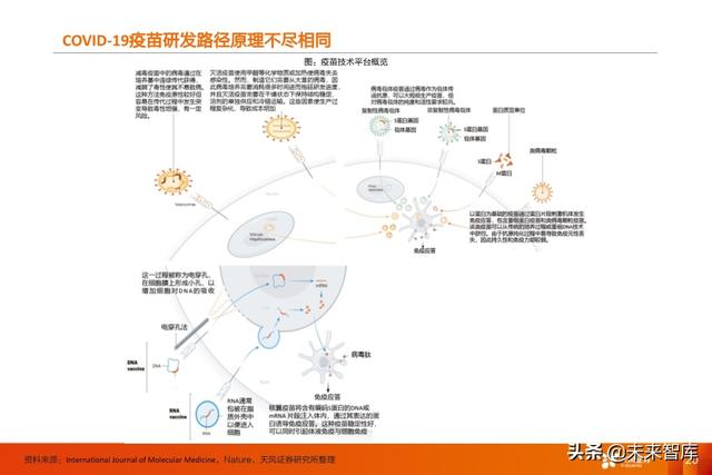 疫苗行业深度报告：新冠疫苗谁将拔得头筹