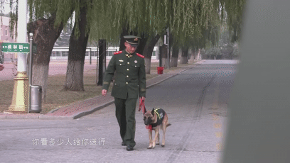 一生认一人！离开军营那一刻，退役警犬跳车飞