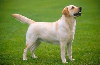 æéåå®¶åº­å»çåç§å¤§åç¬