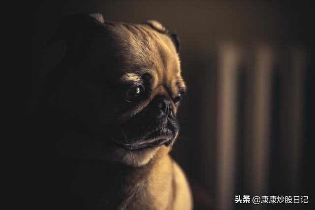 股票被套了能做T吗？他努力了十年终于发现：股