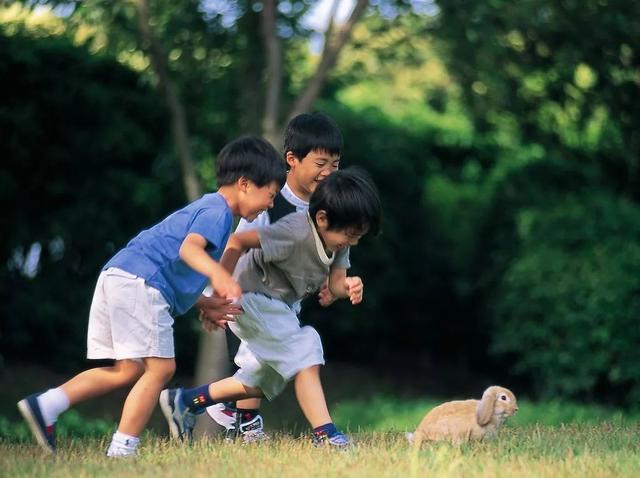 孩子怕生不愿与人交友，父母适当放手，比强迫孩子社交更管用