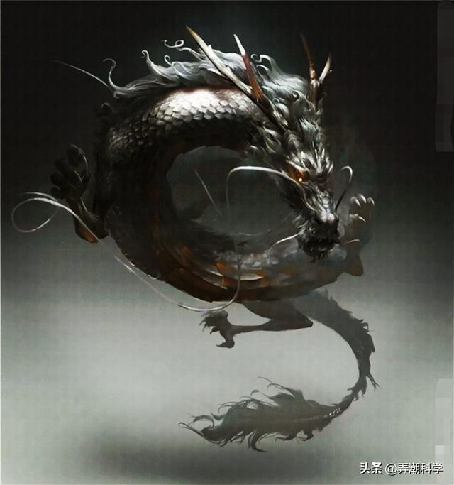 山里■贵州回应山里有龙吟 声音没那么大专家说可能是鸟