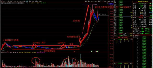 实战揭秘庄家如何建仓，洗盘，吸筹，试盘，震
