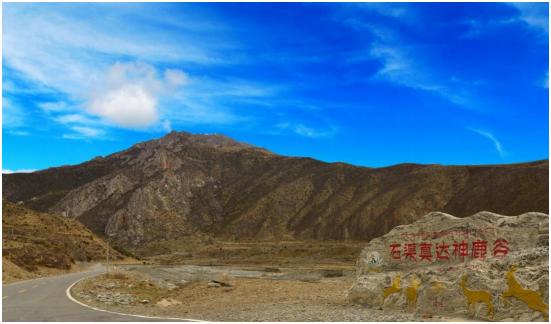 不用再去东非看动物大迁徙，四川就有最震撼的动物家园