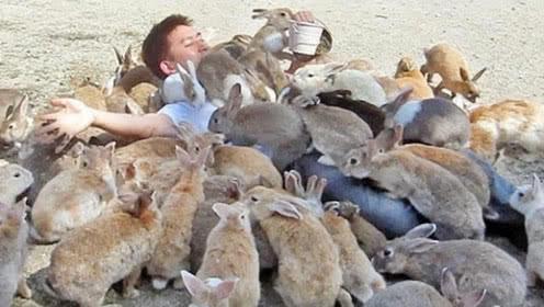 澳洲被近百亿只兔子折腾了几十年，那么靠国人足以把它们吃绝种吗