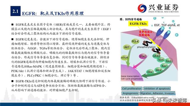 肺癌专题报告：序贯靶向治疗是核心，免疫联合治疗是新常态