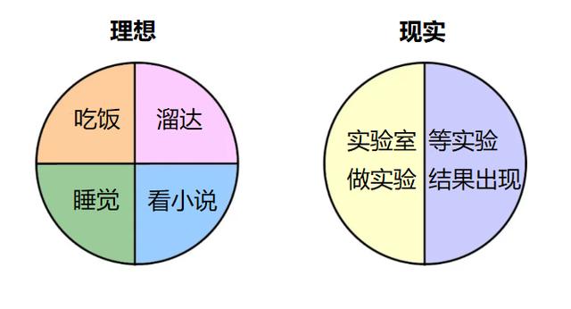 这就是一个博士生的真实日常