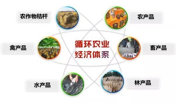 生态循环农业产业化样板：生态循环+休闲农业（附案例）