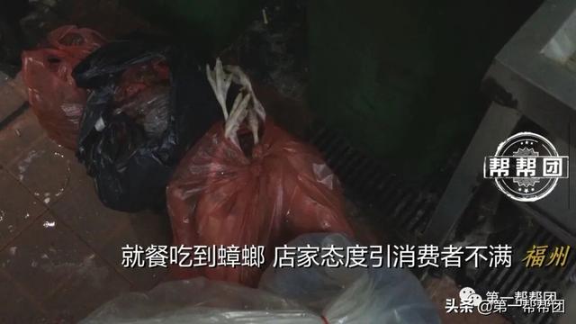 在菜里吃出“油炸蟑螂”，拍视频又惊现活蟑螂