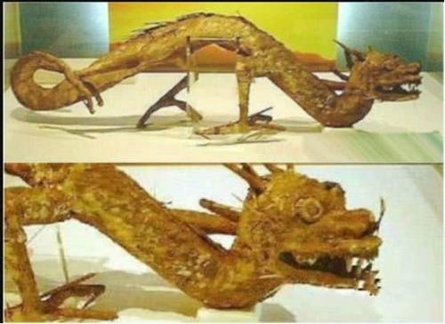 日本瑞龙寺存放的真龙标本到底是不是真的？
