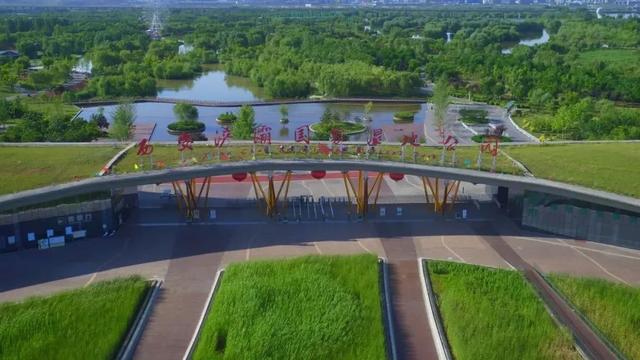 西安浐灞国家湿地公园的夏日时光