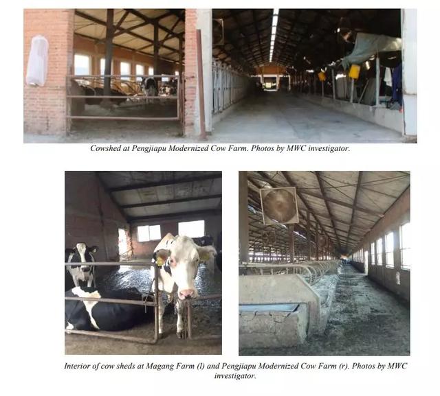 用卫星照片预测金价，用推特预测股市，那些你