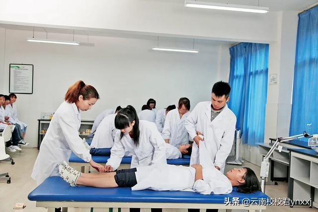 云南医药健康职业学院的康复医学系都有哪些专业？