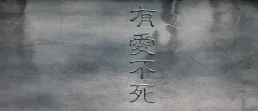 骂这些电影这么多年，今天才知道骂错了