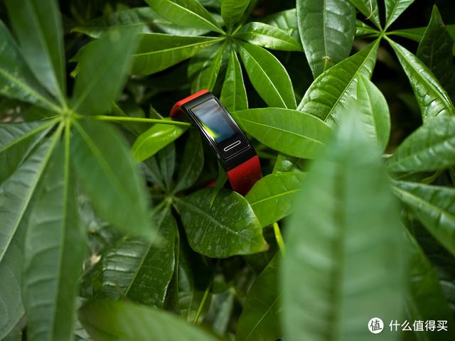 独立GPS + 血氧检测功能：HUAWEI 华为手环4 Pro上手体验