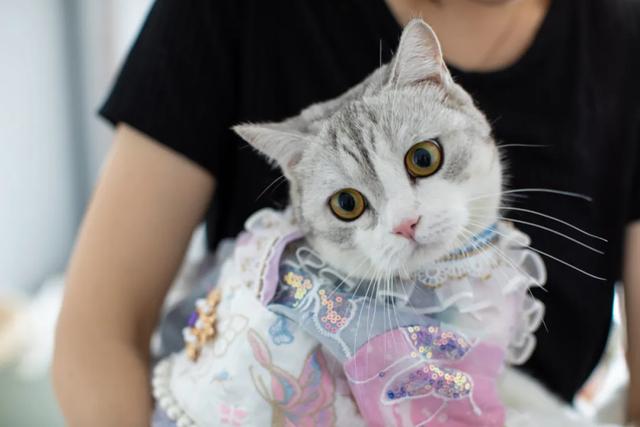 结束北漂开网店：没花一分钱推广月入七万，顾客最久等了22天